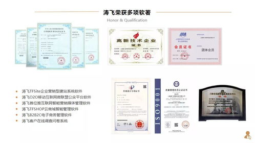 上市集團(tuán)公司構(gòu)建全球化數(shù)字培訓(xùn)體系的路徑與實踐——基于互聯(lián)網(wǎng)技術(shù)服務(wù)的視角